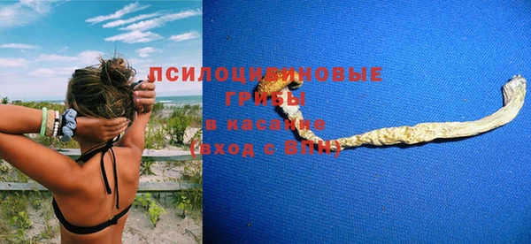 PSILOCYBIN Балахна