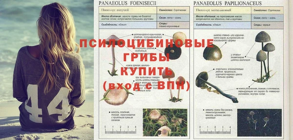 jwh Армянск