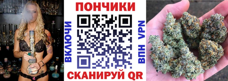 Бошки марихуана Bruce Banner  Нижнекамск 
